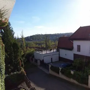 Cikada Прага